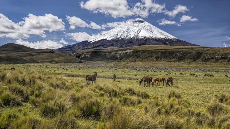 Leadership Development Expedition: Cotopaxi Executive Trek